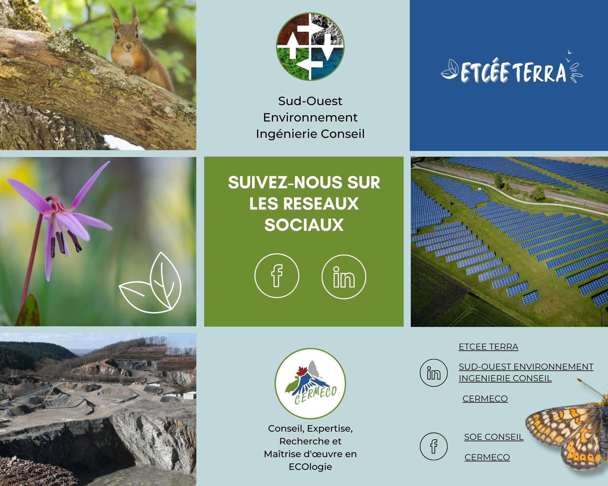 You are currently viewing Suivez-nous sur les réseaux