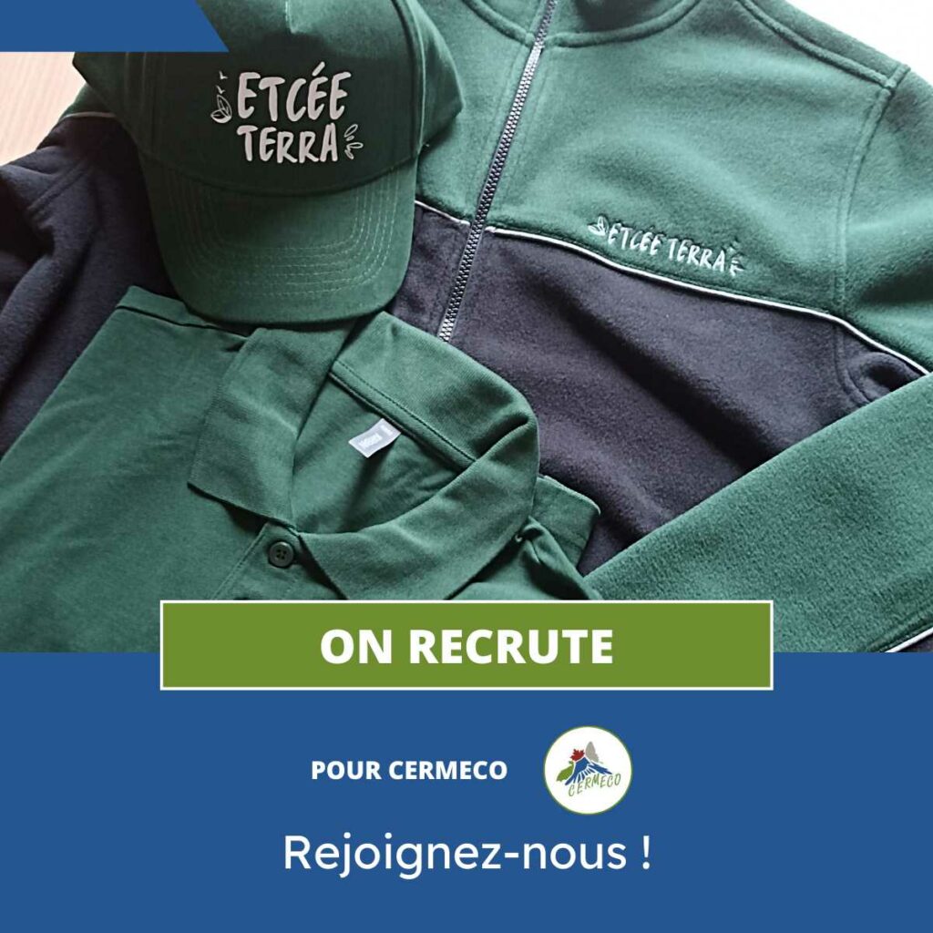 visuel recrutement cermeco