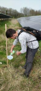 pose du dispositif de piégeage des pollinisateurs sauvages par un chargé de recherches scientifiques - un métier de l'environnement indispensable pour développer nos connaissances de la biodiversité