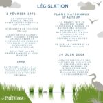 infographie - législation autour des zones humides