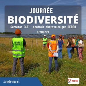 Communiqué de presse en téléchargement - journée biodiversité parc photovoltaïque REDEN de Samazan