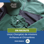 Lire la suite à propos de l’article CERMECO recrute un(e) Chargé(e) de missions Avifaune et Chiroptères