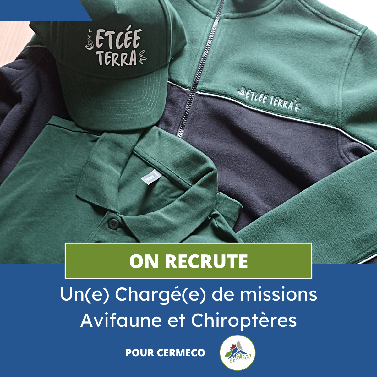 You are currently viewing CERMECO recrute un(e) Chargé(e) de missions Avifaune et Chiroptères